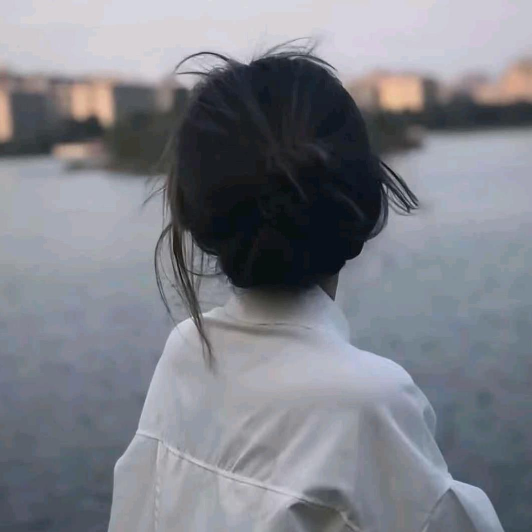 又见青箬