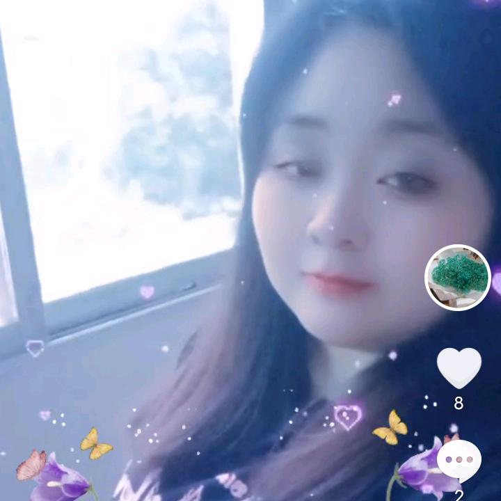 杨