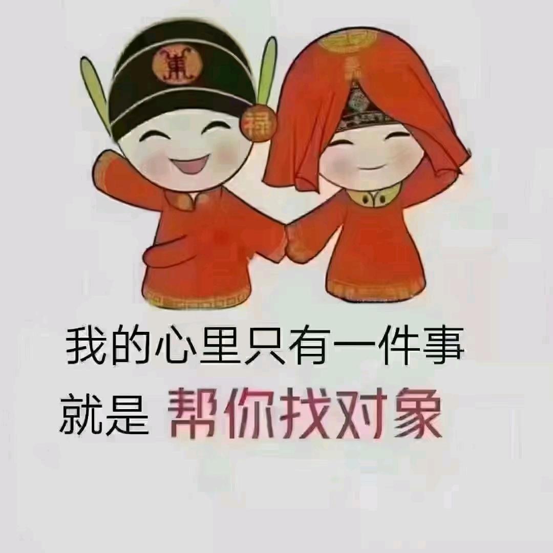 花花牵线