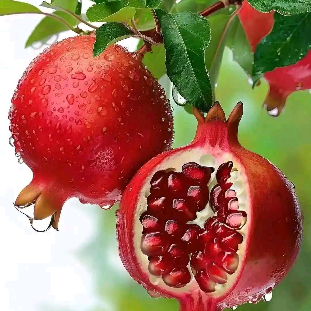 顺心如意