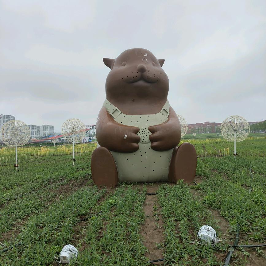 侠姐