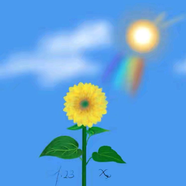 向上☀