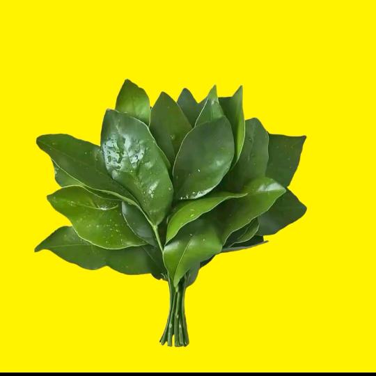 月～涵花語弦