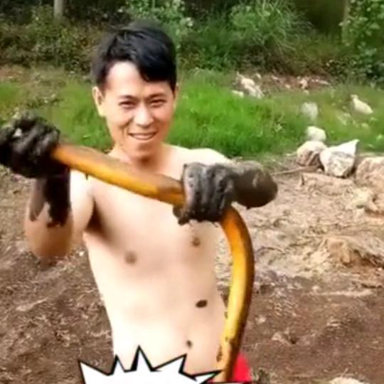 专业钓鳝20年