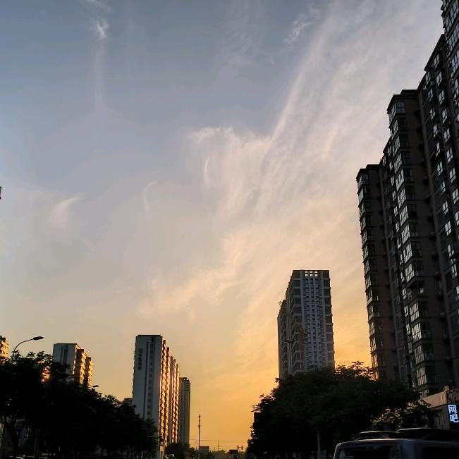樱桃酥头像