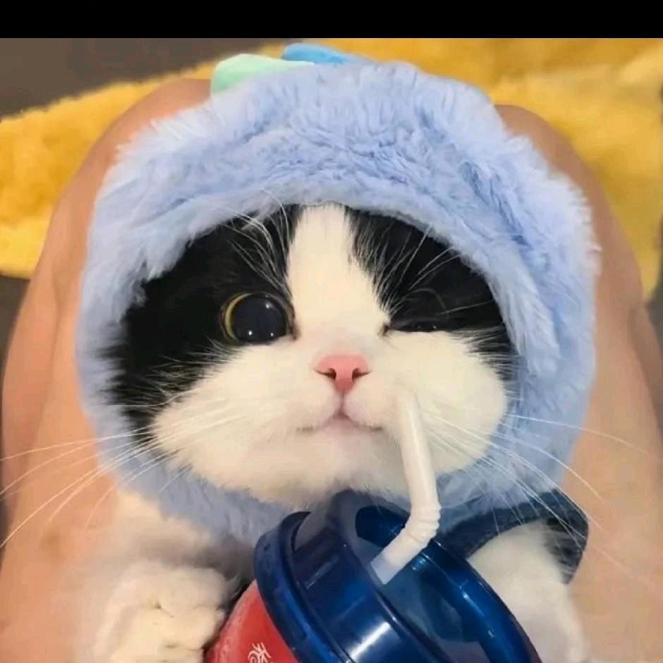 玖葉