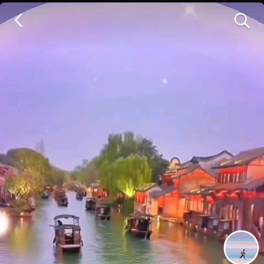龙的传人🦎