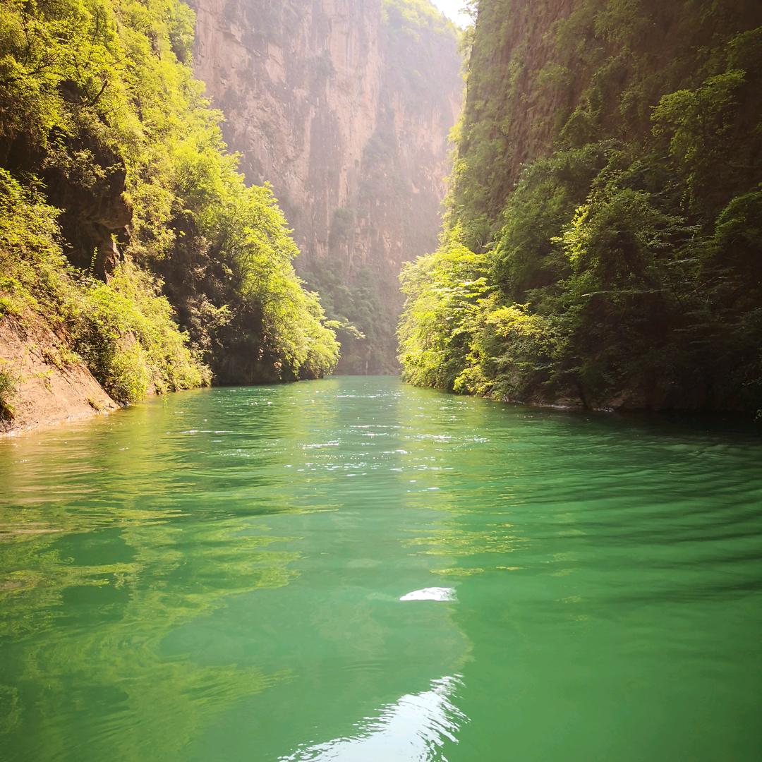 西红柿炒番茄🍅