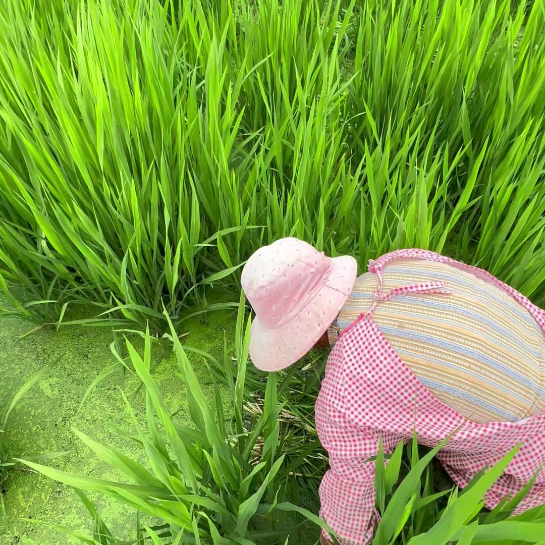 种养有技术