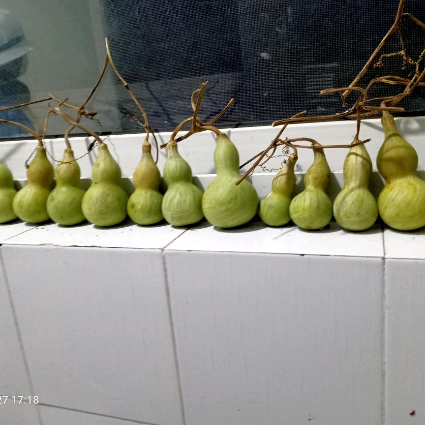 超越6