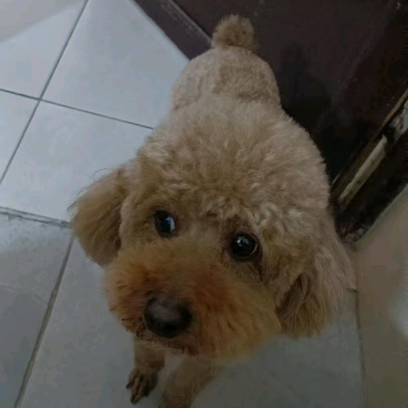 💞ღ᭄李家菇凉꧔ꦿ᭄💞