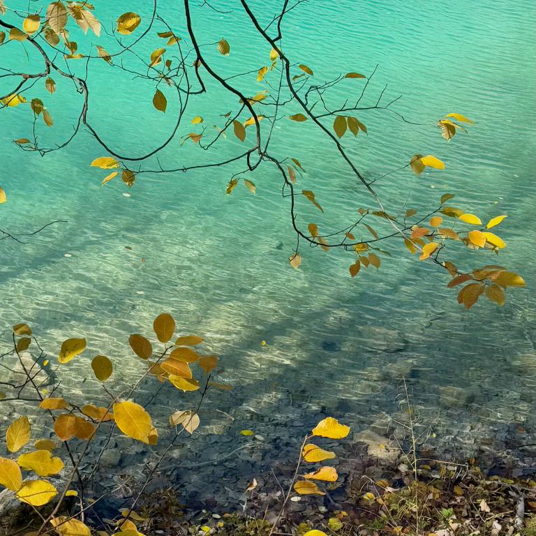 炳蔚阁@不会读书的阁主大人