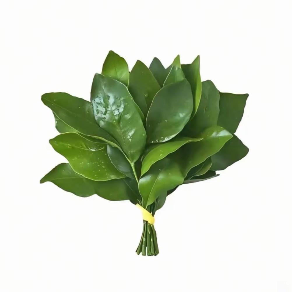 ---黑校---