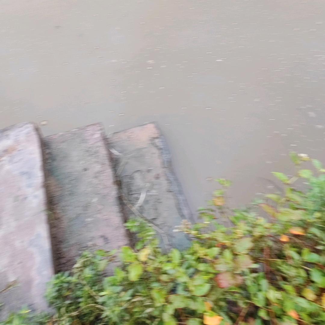 下场钓园