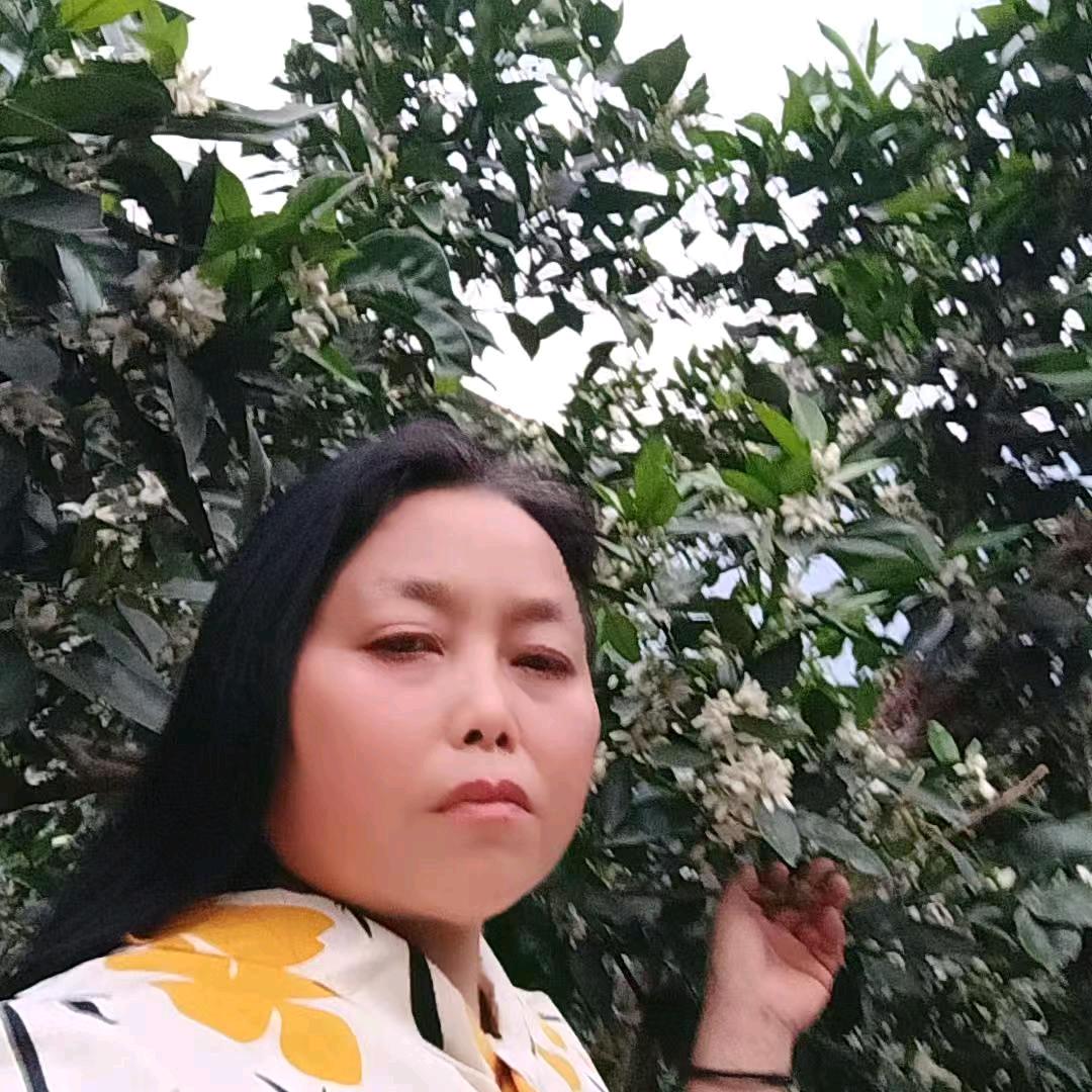 大凉山特产正宗雷波脐橙