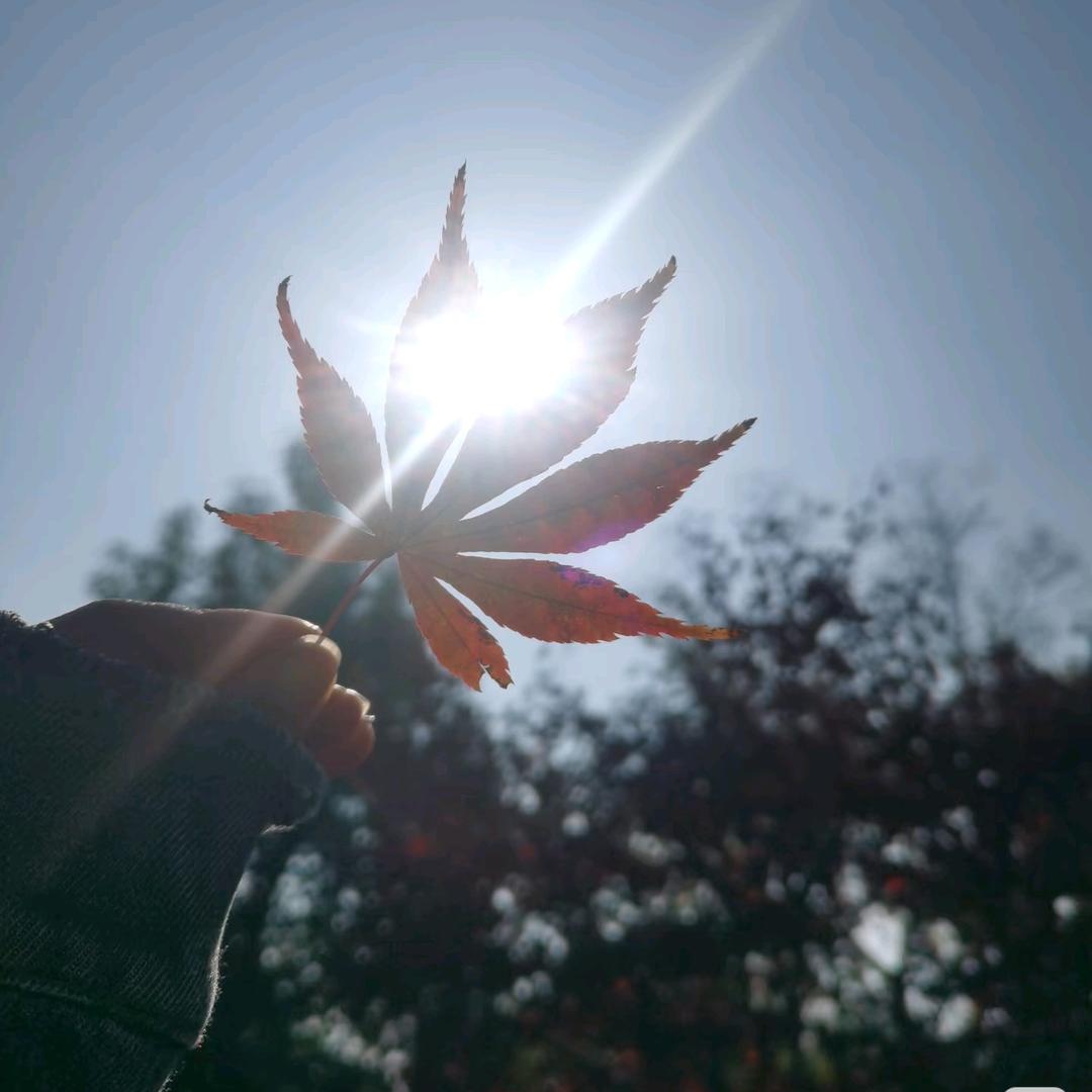 ♬(*๓´汶泽💕妈妈`๓)♡