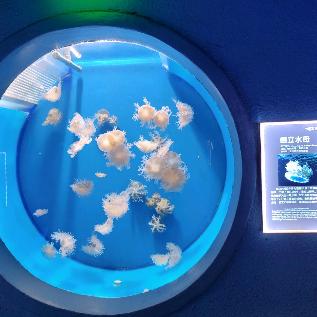 奶茶加糖🍬《游戏推广》