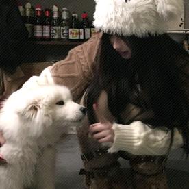 打开天窗说脏话