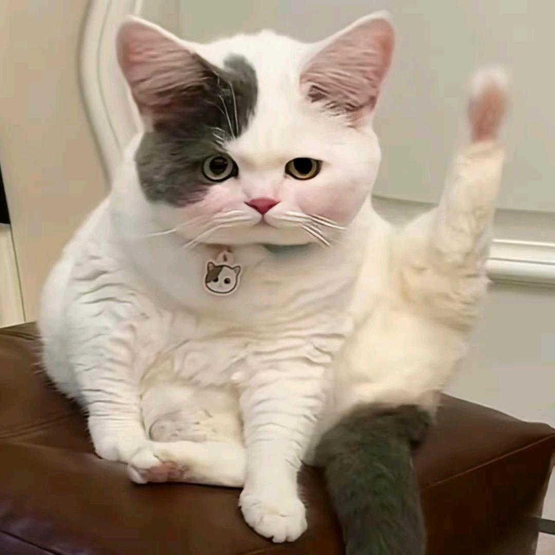 超幸运的棒棒锤🎉