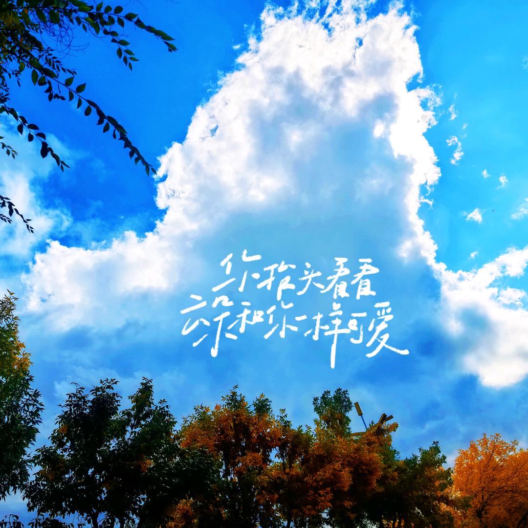 🎼慢慢即漫漫ᐝ
