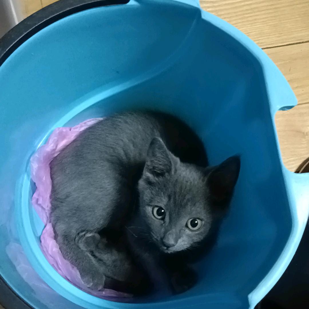 余生