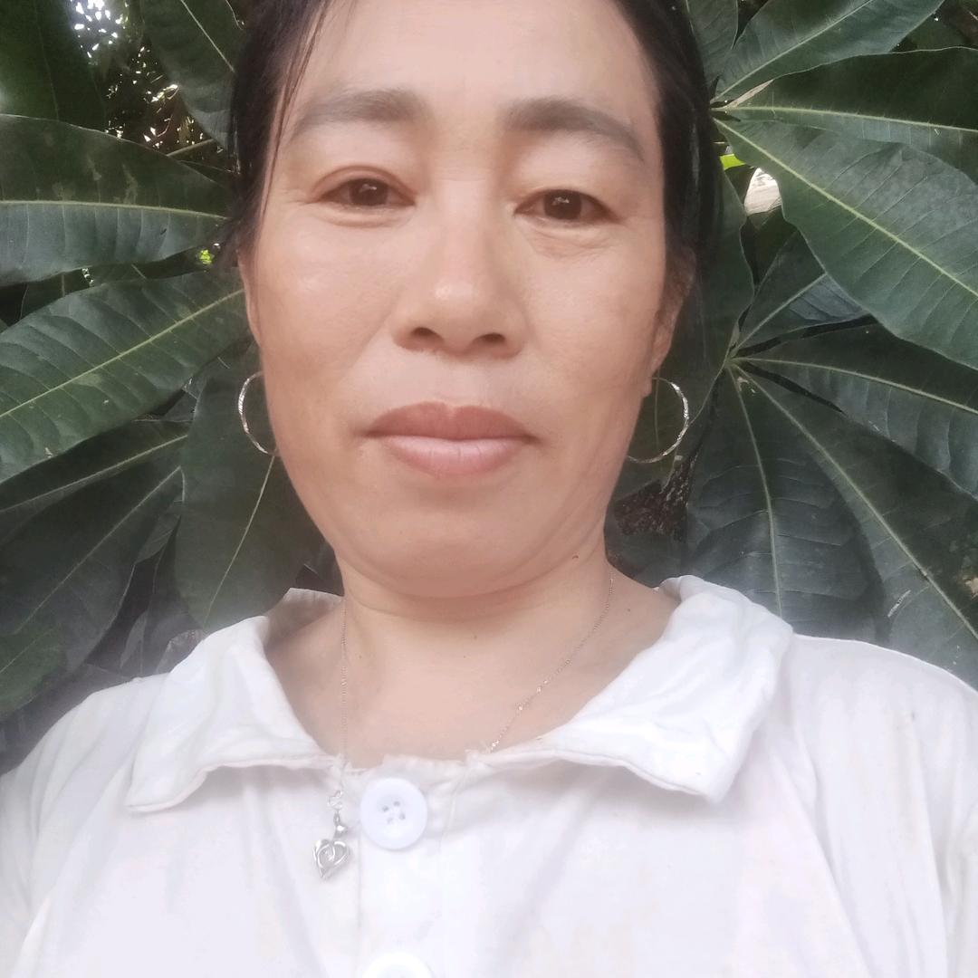 桂姐