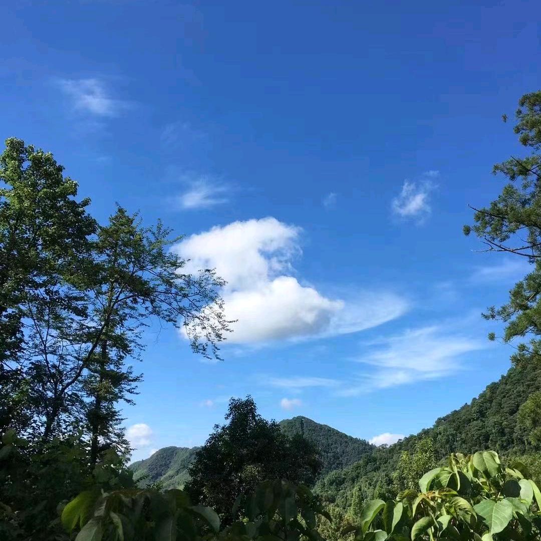 一生有你