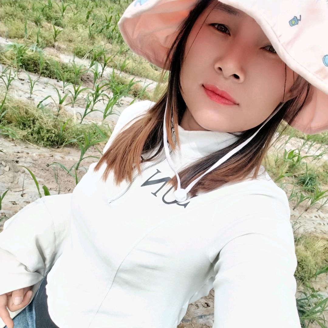 等我不再去打扰