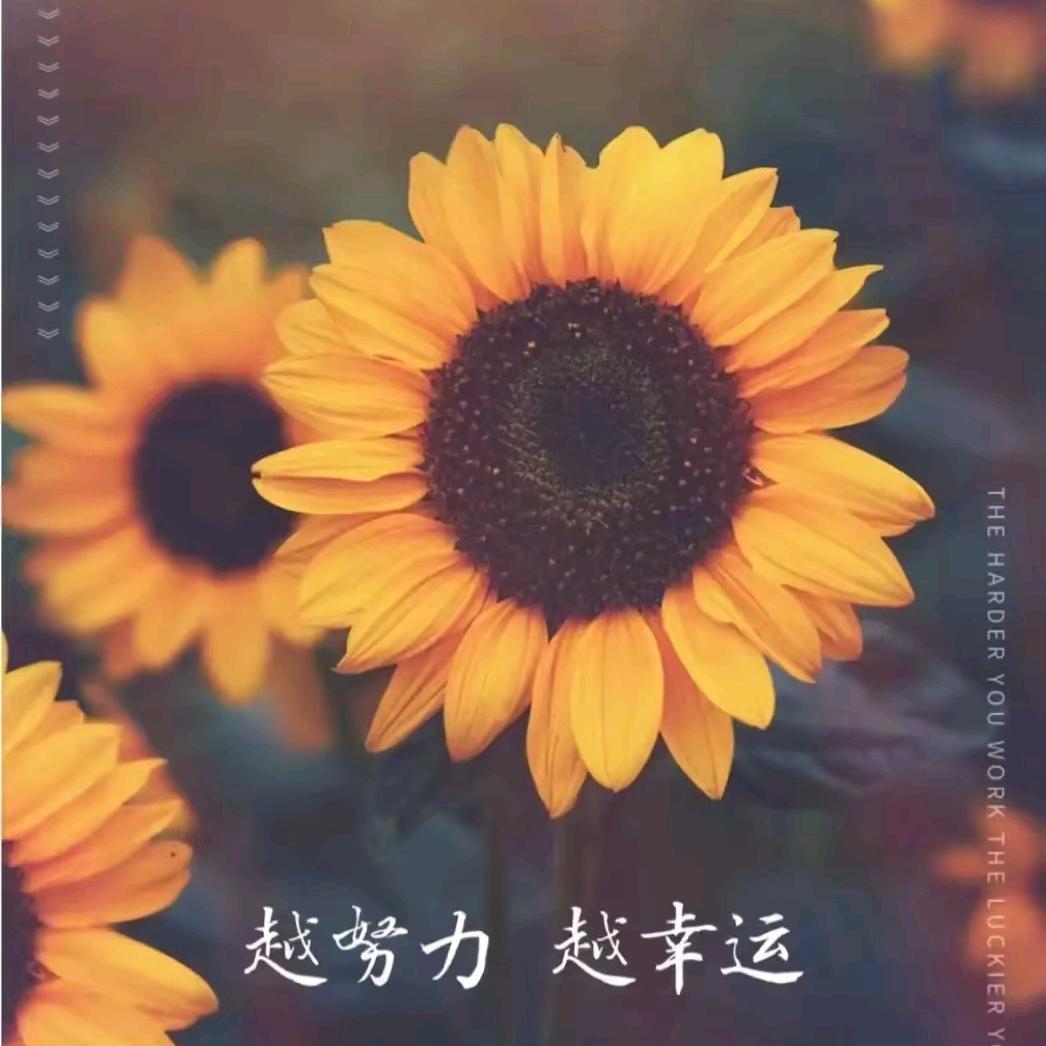 春暖花开，春天宝贝相逢己是上上签