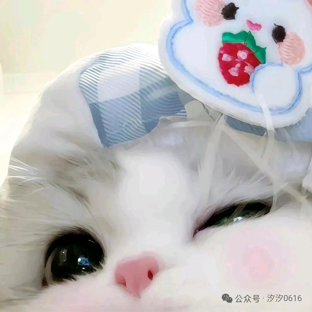想喝奶茶