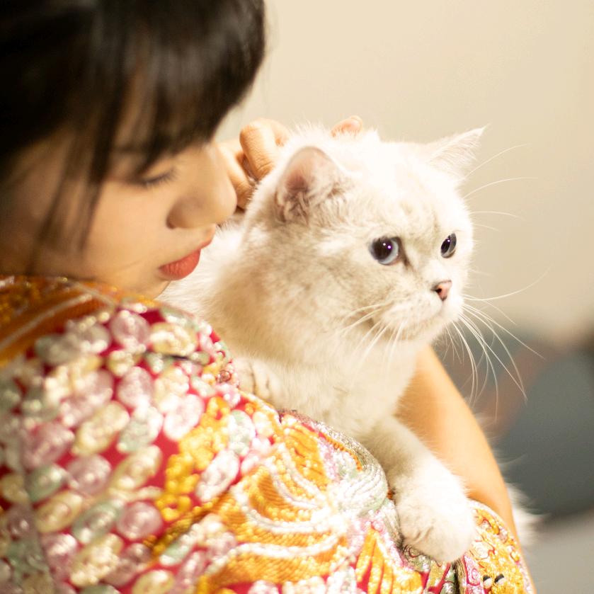 小成好运来