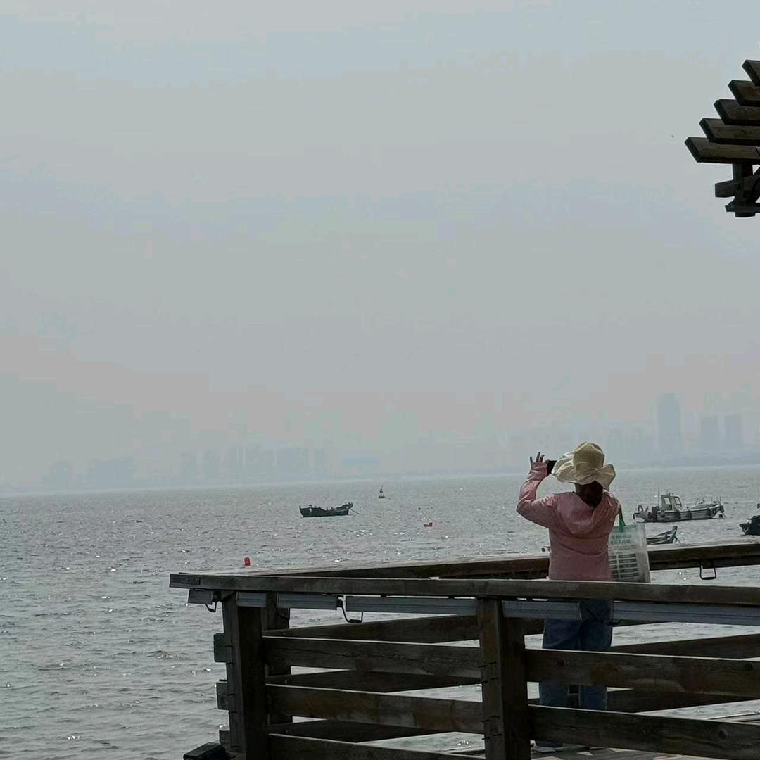 郁金香🌷🌷🐠