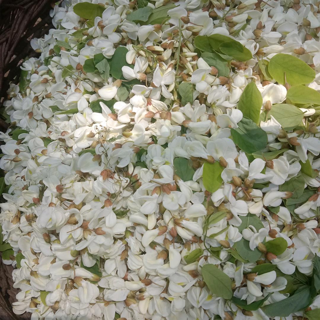 1984年元  新乡市里海棠厂