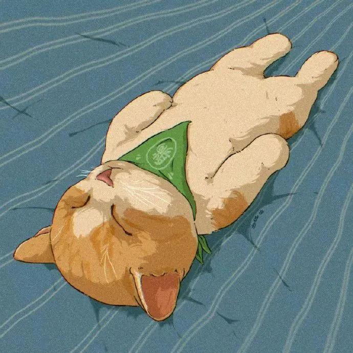 拎拎呀