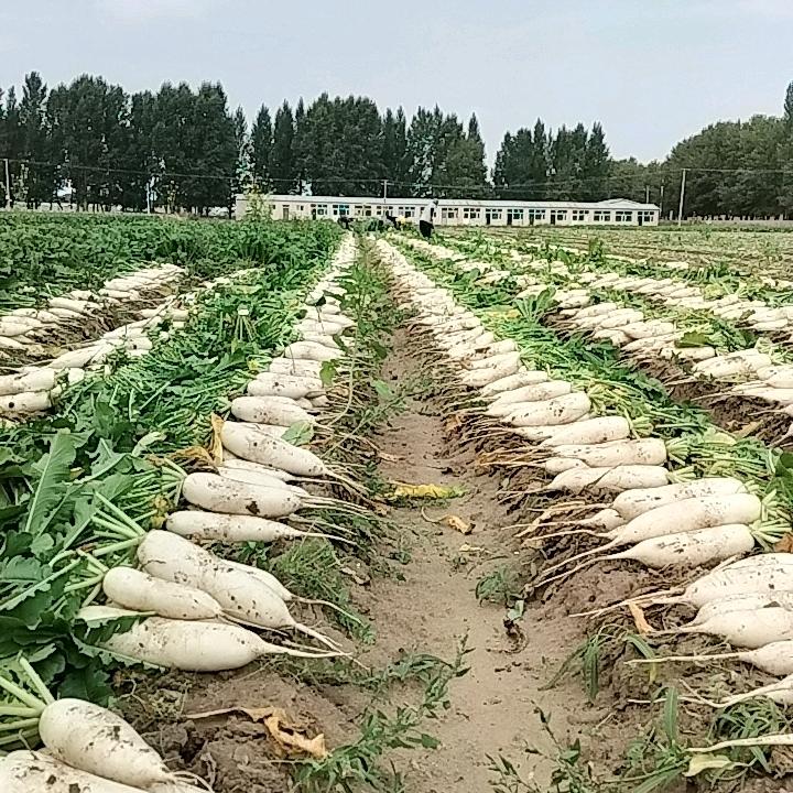 户外鑫龙