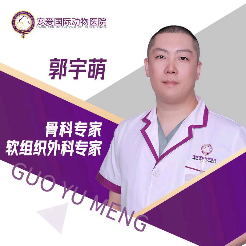 宠爱宠医郭宇萌