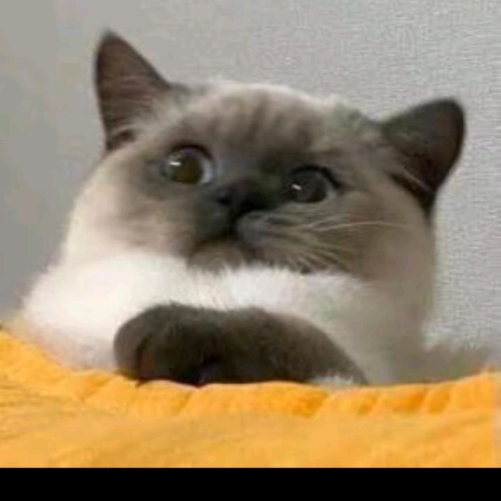 我也想当英雄呀