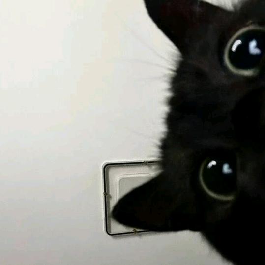 亦木