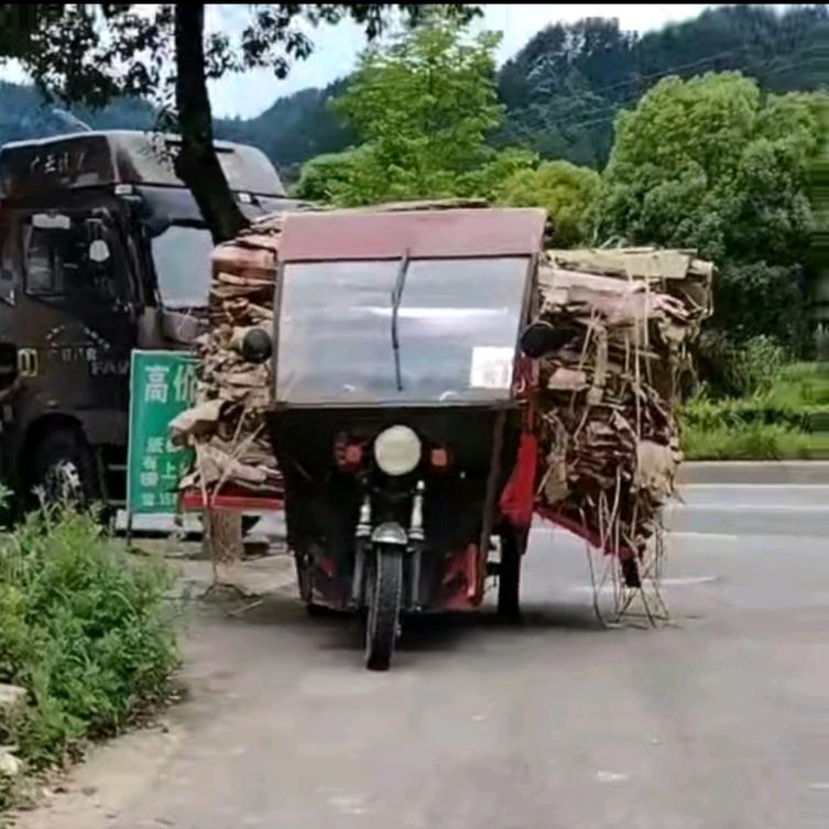虎姐废品回收了
