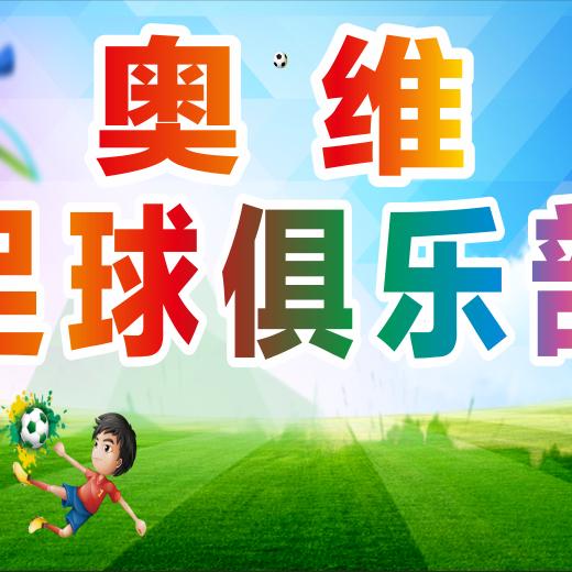 平陆县奥维足球