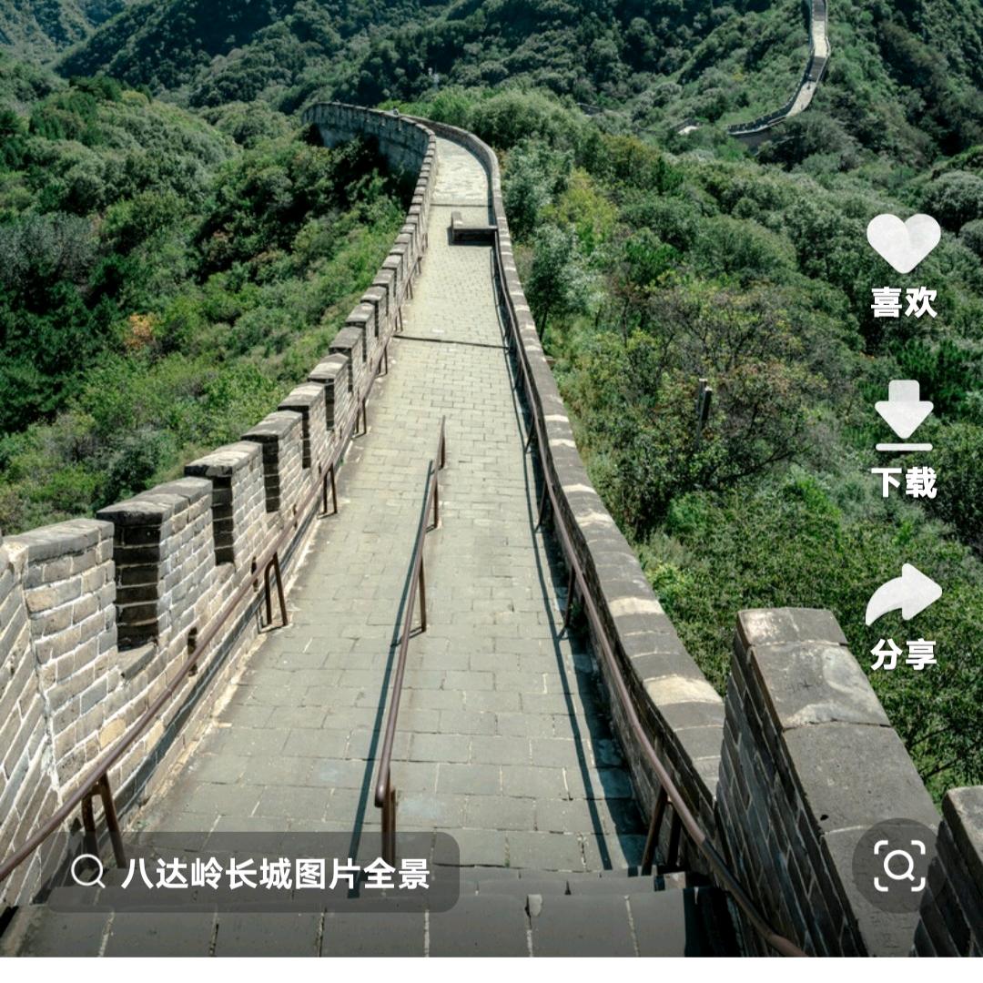 刘平原_253885393