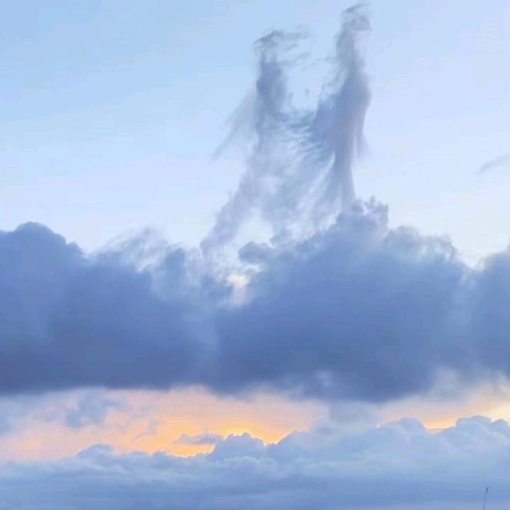 ⍤⃝🐅ᝰꫛ格局ꫀꪝ