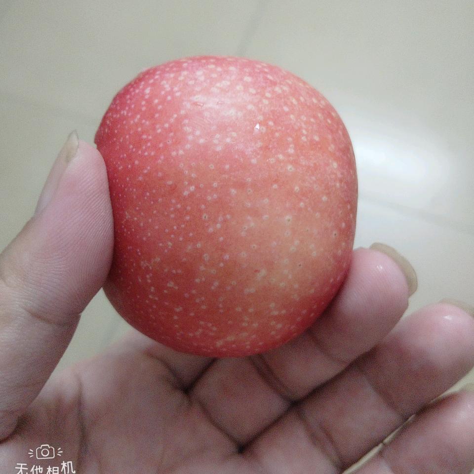 福到家