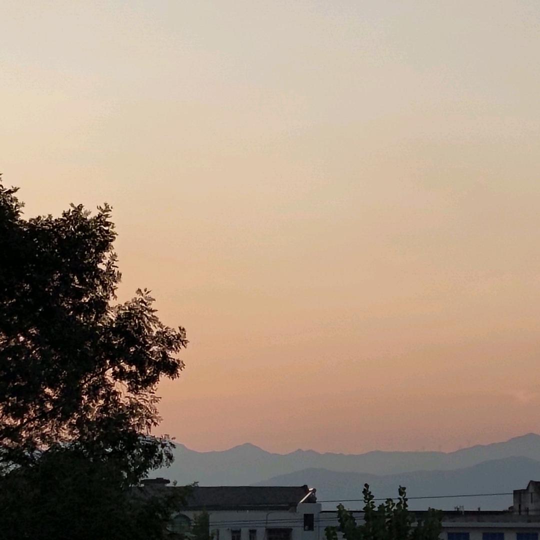 ̶̶̶᭄ꦿ̶干̶净̶利̶索