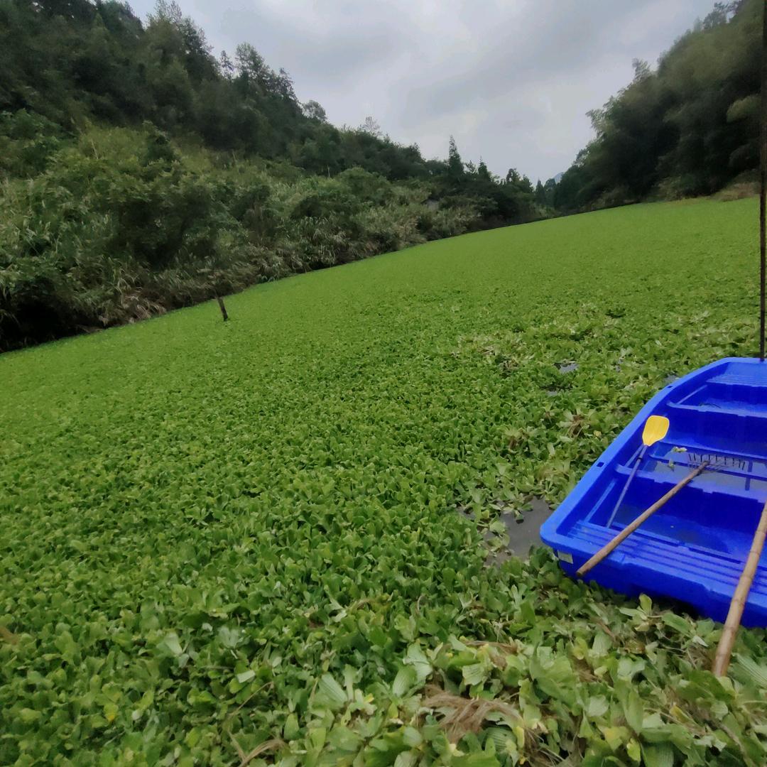 平阳县家庭农场