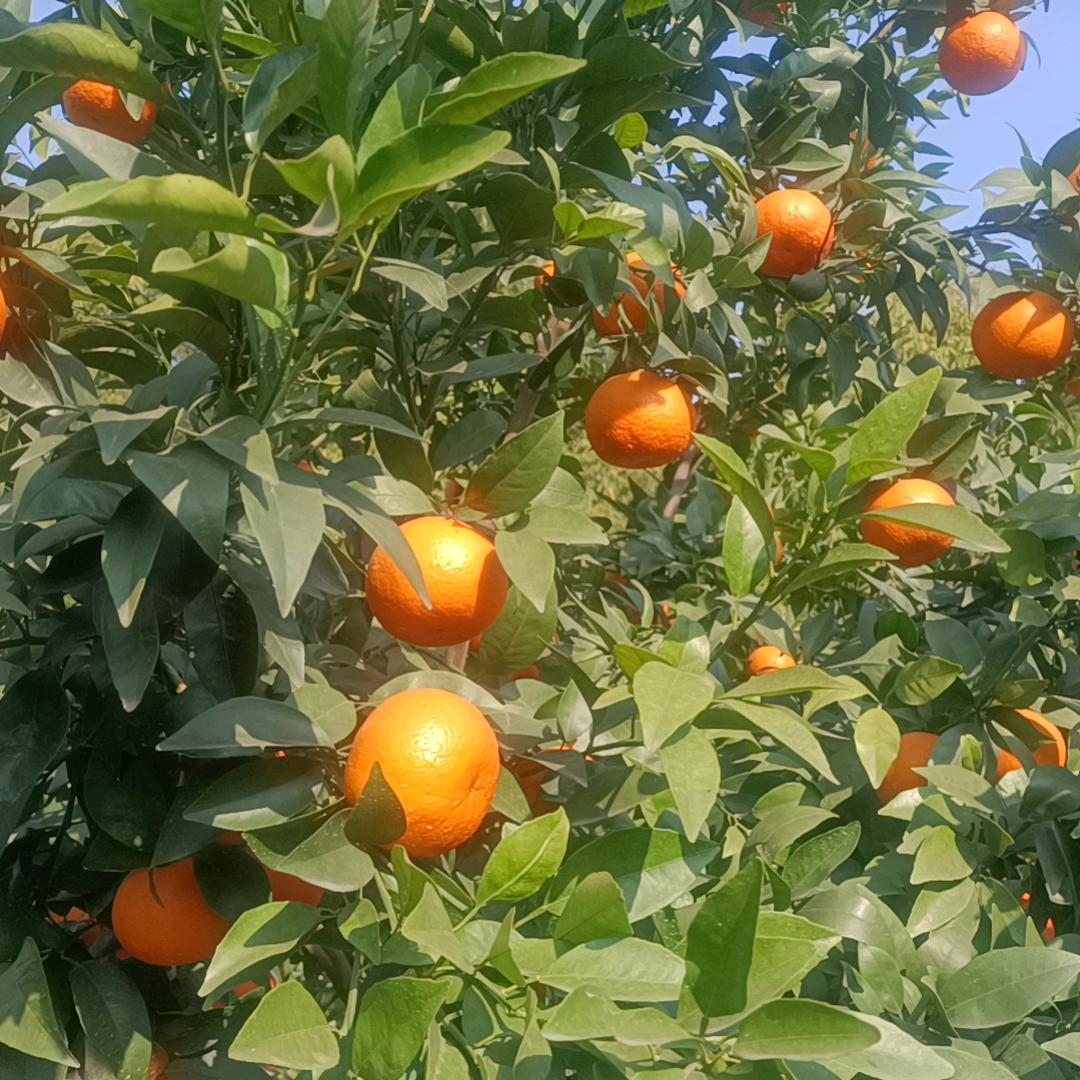 💞寒᭄ꦿ꯭玉💞