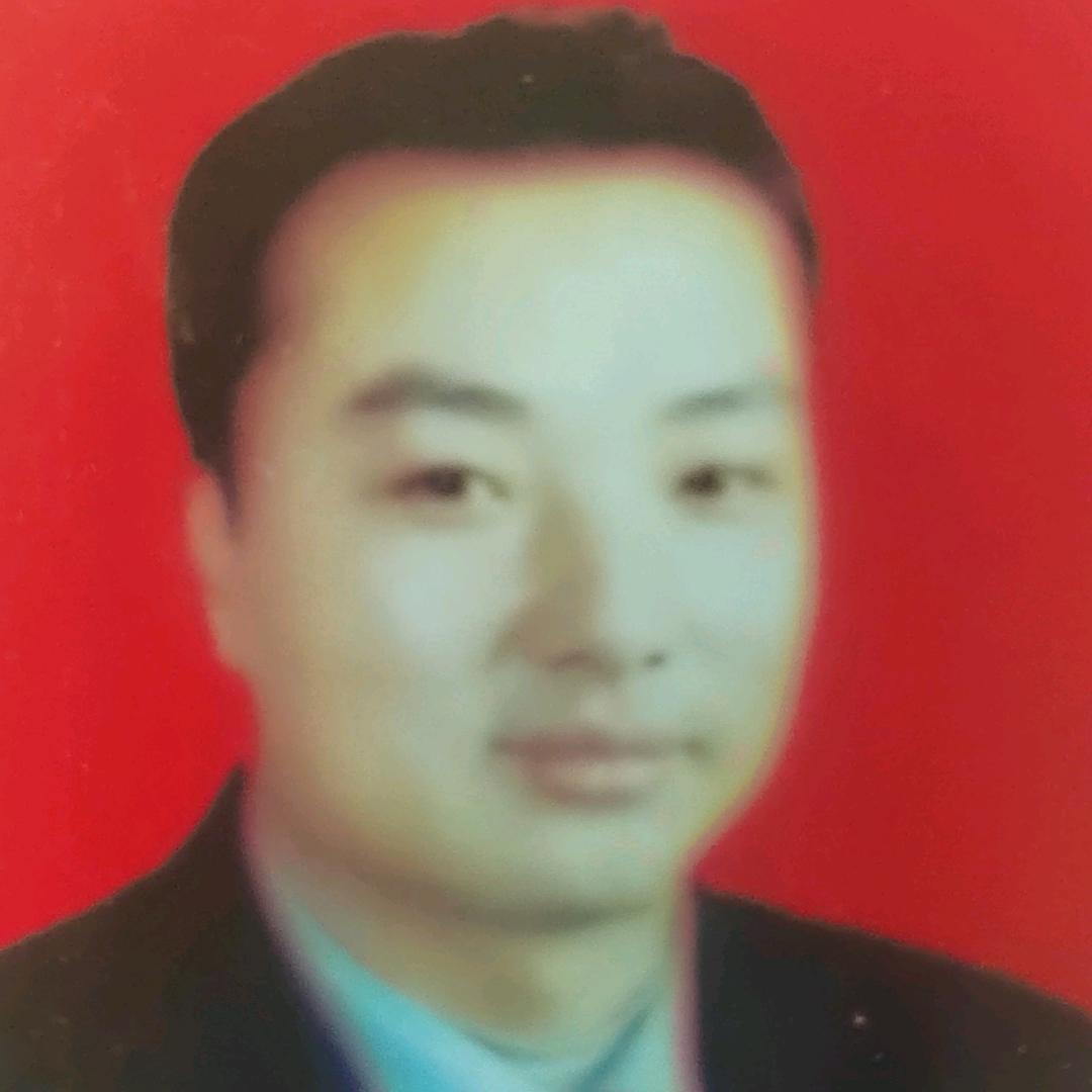 雪山松（小号）