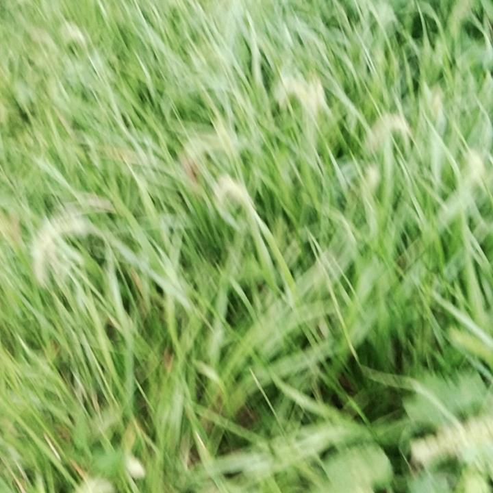 通讯录好友