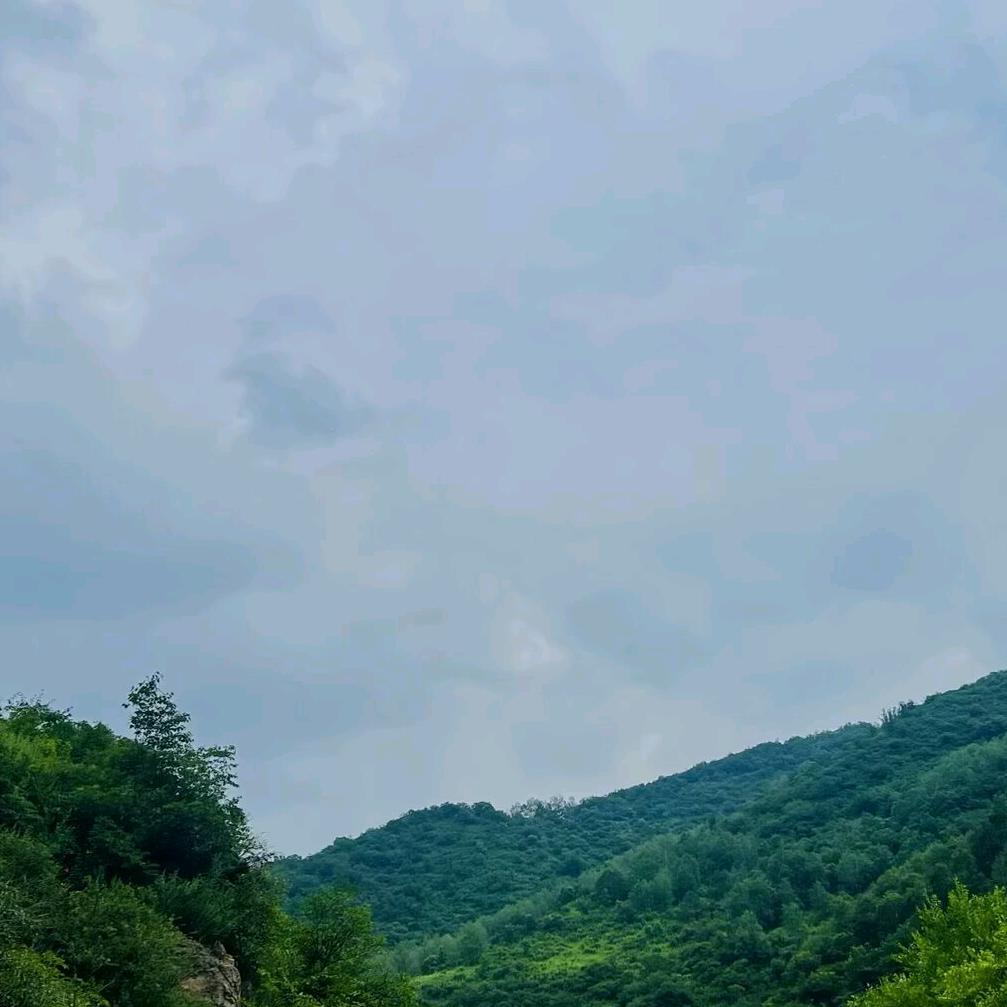爱胡闹