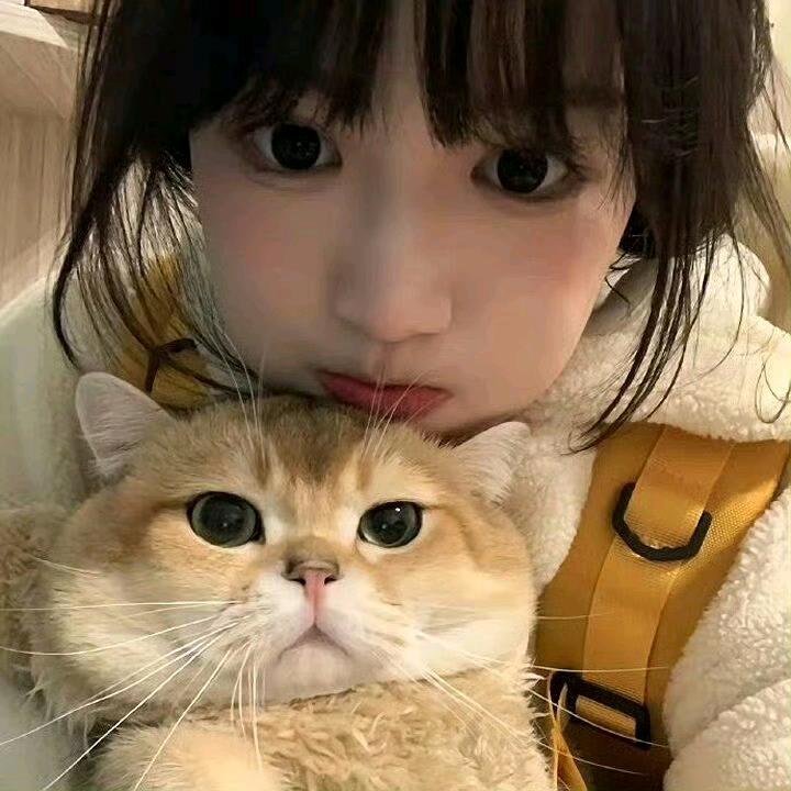 糕糕手（蛋仔派对）